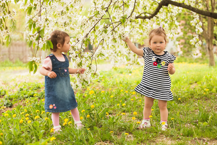 站在梨花树下玩耍的宝宝