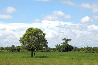 蓝色清新<strong>秋天的美景</strong>摄影图