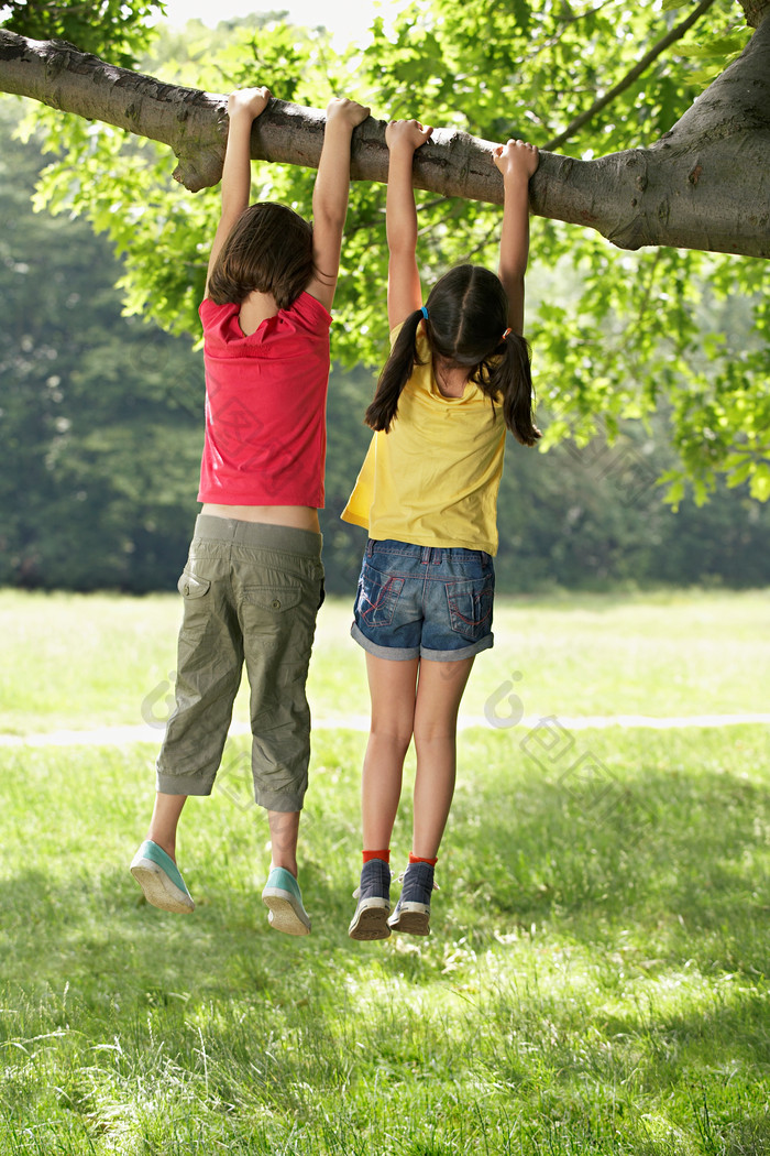 爬树的两个儿童摄影图