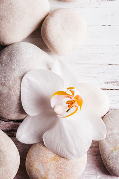 桌子上的卵石和白花