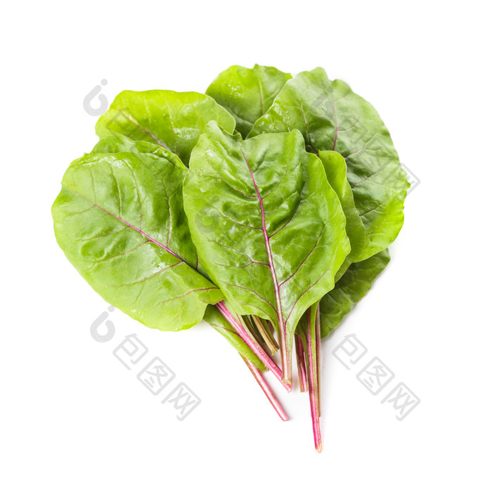 绿菜青菜叶子摄影图
