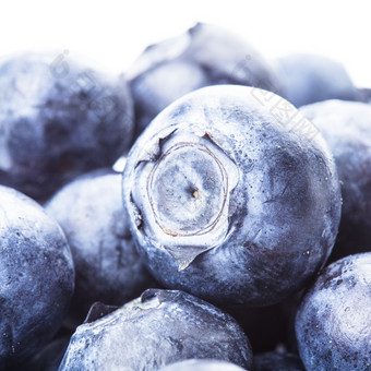 新鲜蓝莓浆果摄影图