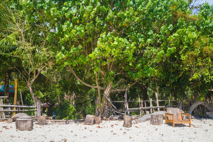 巴厘岛树木森林围栏石头郊外旅游度假假期