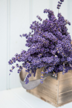 简约紫色的花摄影图