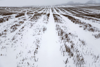 寒冷的冬天<strong>白雪</strong>雪地