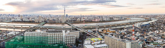 简约东京城市全景摄影图