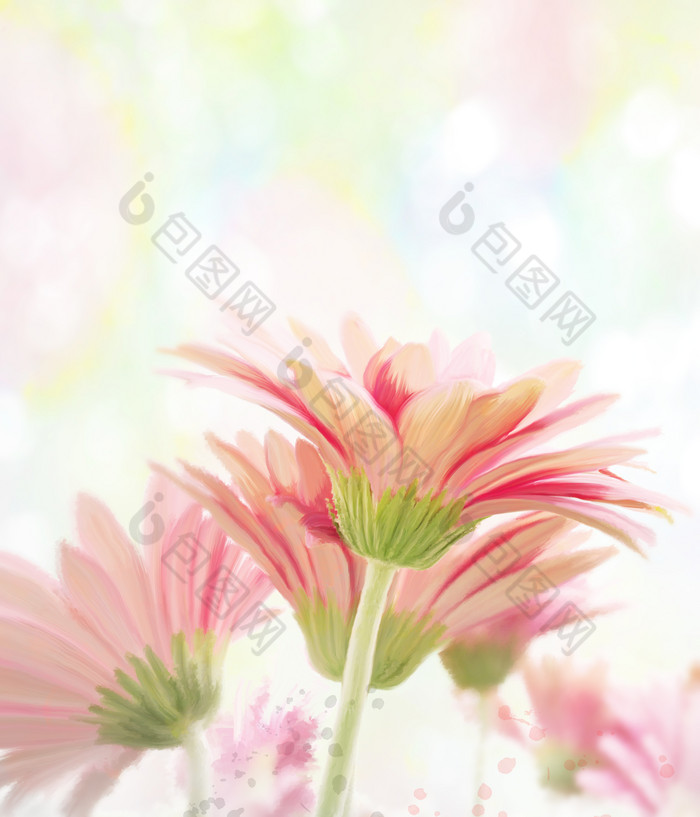 粉红色花朵花枝摄影图