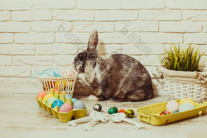 复活节彩蛋和灰兔子