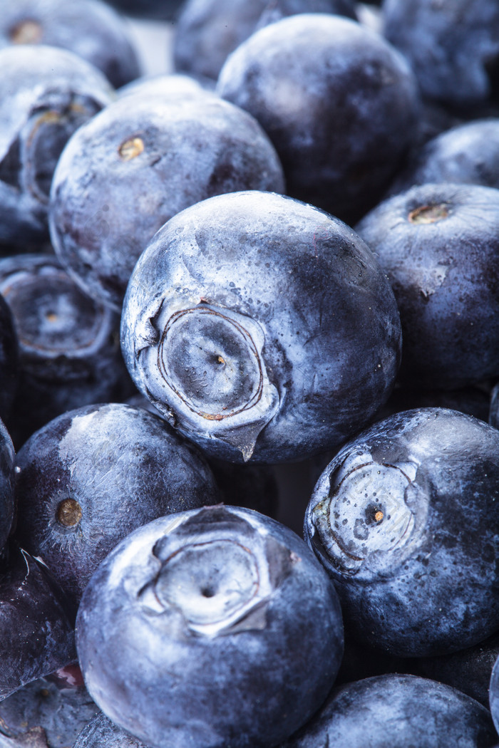 蓝莓浆果食物摄影图