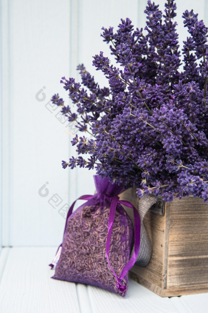 简约风格紫色的花摄影图