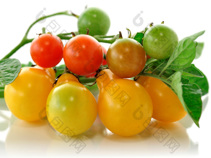 小清新水果番茄摄影图