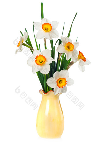 黄色花瓶中的水仙花花卉