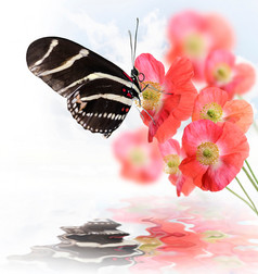 清新花中小蝴蝶摄影图