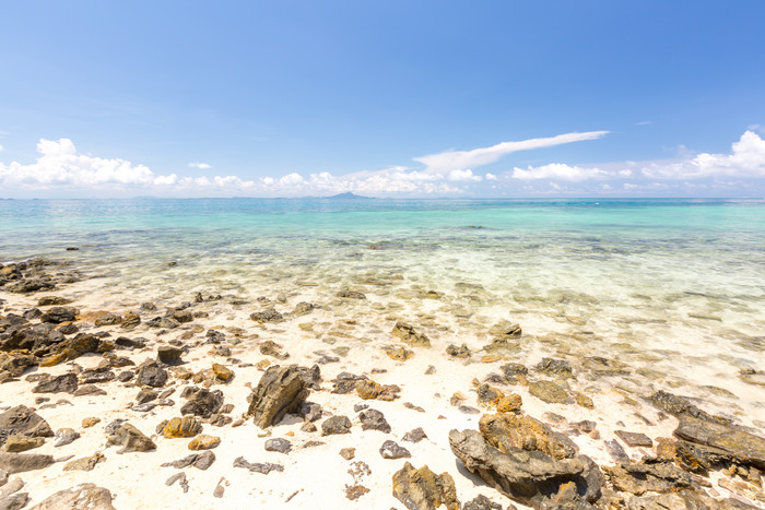 夏季海边的美丽景色