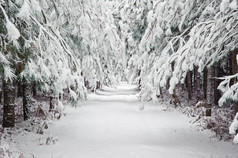 简约风格冬天的美景摄影图