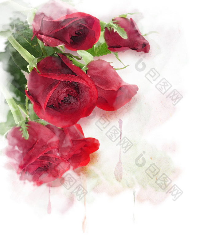 清新漂亮红玫瑰摄影图