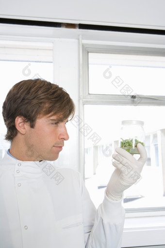 植物养殖研究的科学家