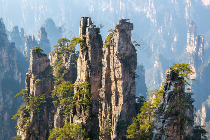 张家界山顶美景摄影图