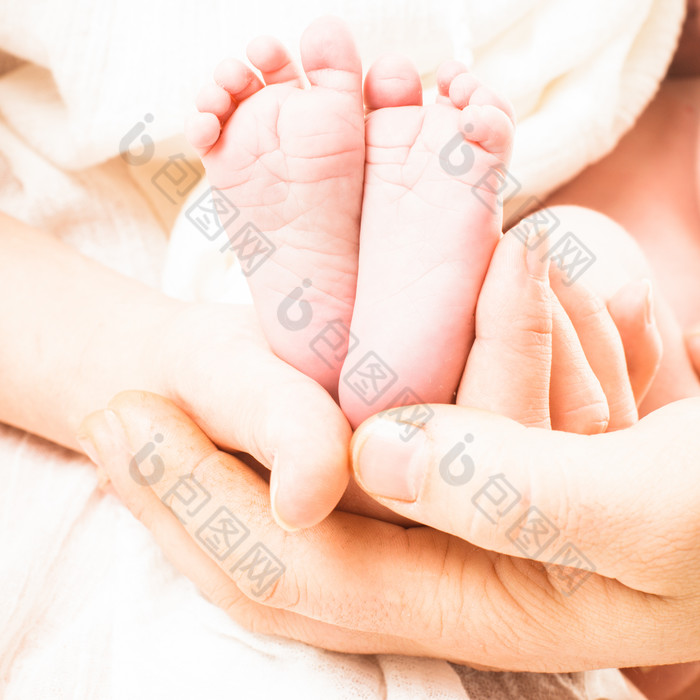 父母手中的婴儿小脚