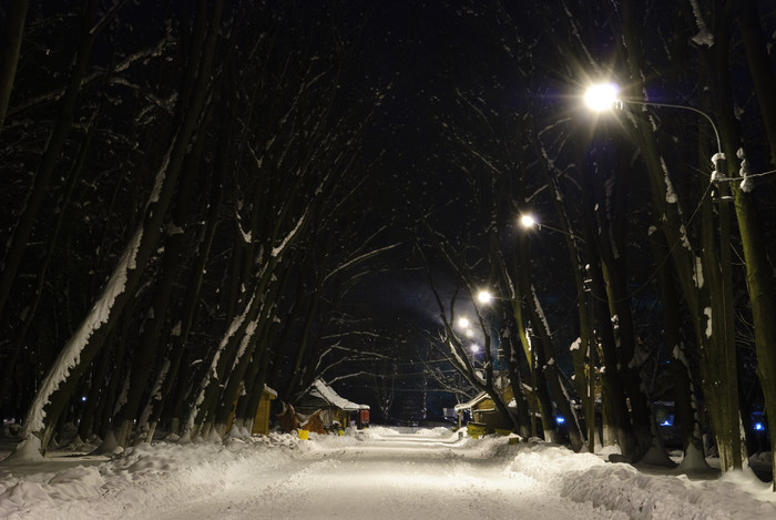 夜晚小路雪地摄影图