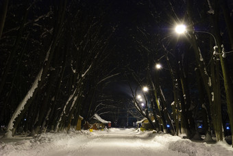 夜晚小路雪地摄影图