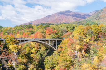 秋天峡谷山林风景