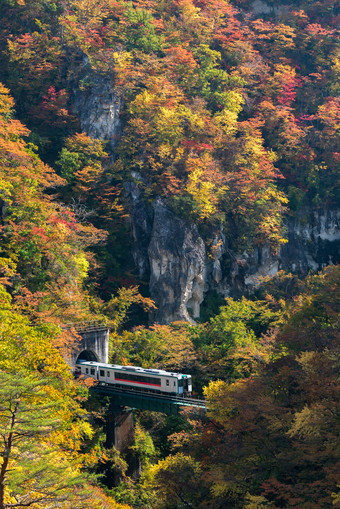 火车铁路秋天秋季旅游风景素材摄影图
