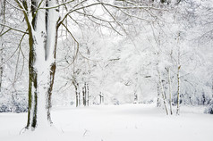 简约冬天的美景摄影图