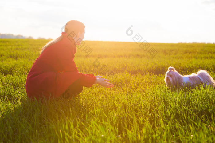 深色调草地中的女孩和狗摄影图