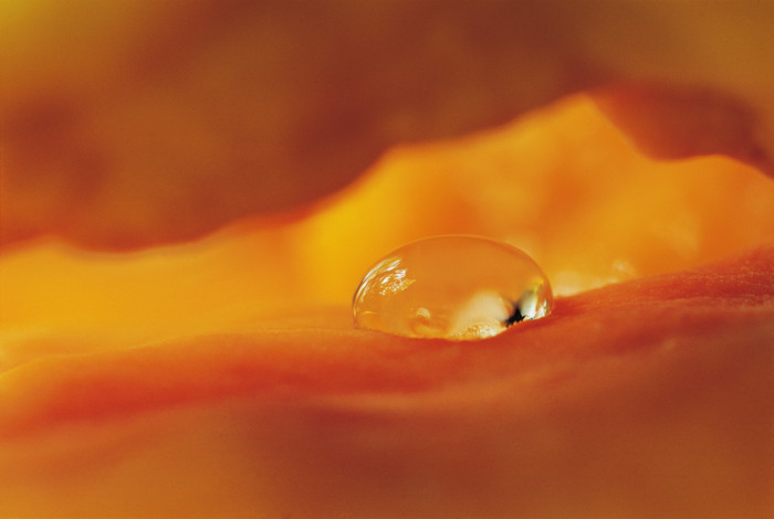 橙色透明水滴背景