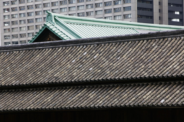 暗色调古建房屋顶摄影图