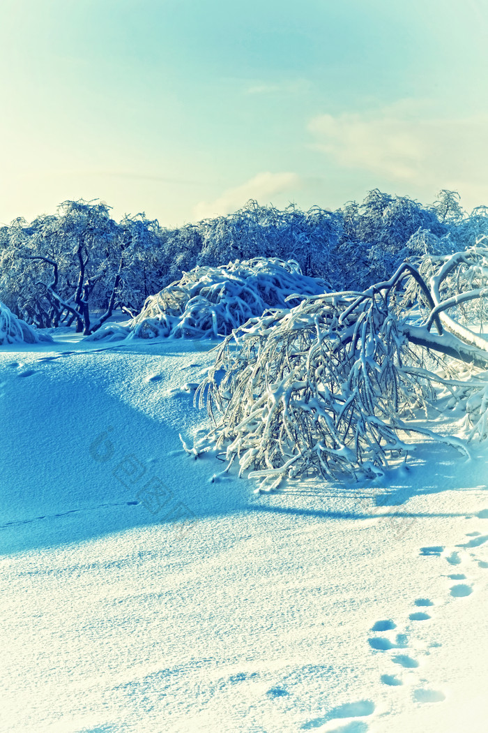 蓝色调雪地上的脚印摄影图