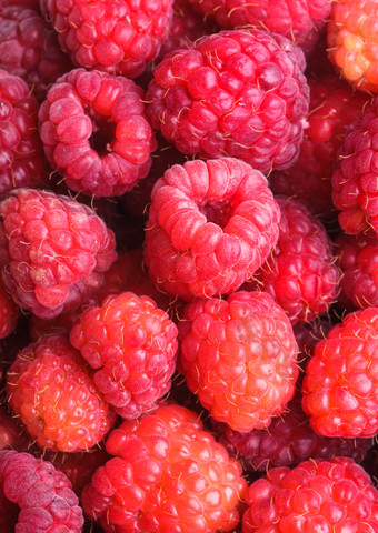 红色有机树莓水果
