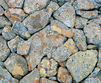 地上的岩石石子路