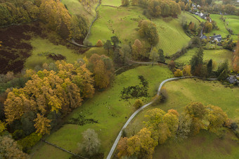 无人机航拍<strong>英国</strong>森林的景色