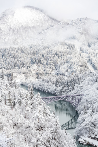 灰色调<strong>美丽雪景</strong>摄影图