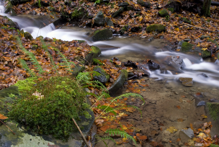 秋季山林河流流水