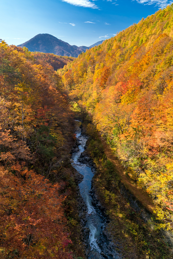秋季山谷里的河水