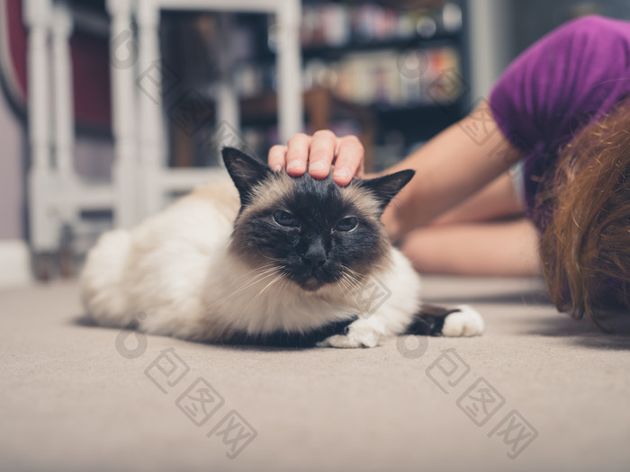 女人躺着抚摸布偶猫