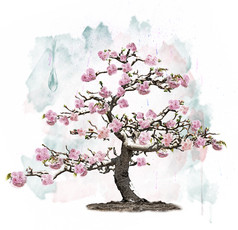 手绘风一棵开花的树摄影图