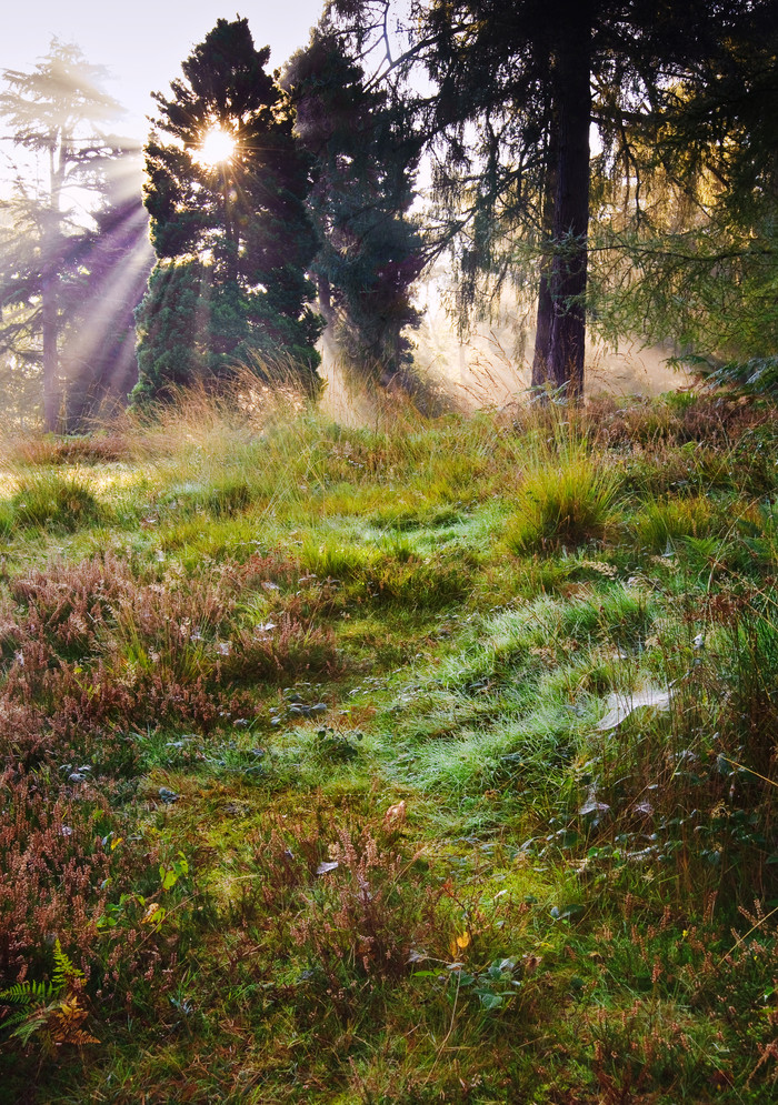 在野外的美丽景色素材免费下载,本次作品主题是摄影图,使用场景是其它
