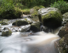 森林岩石瀑布水流