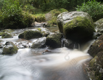 森林岩石瀑布水流