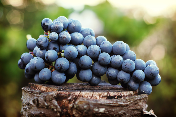 木桩上的新鲜葡萄