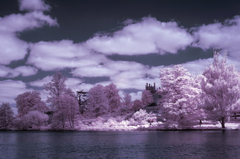 粉色的山林风光摄影图