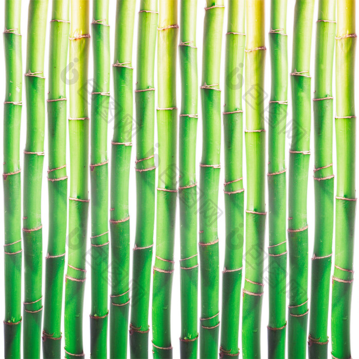 绿色的竹排摄影图