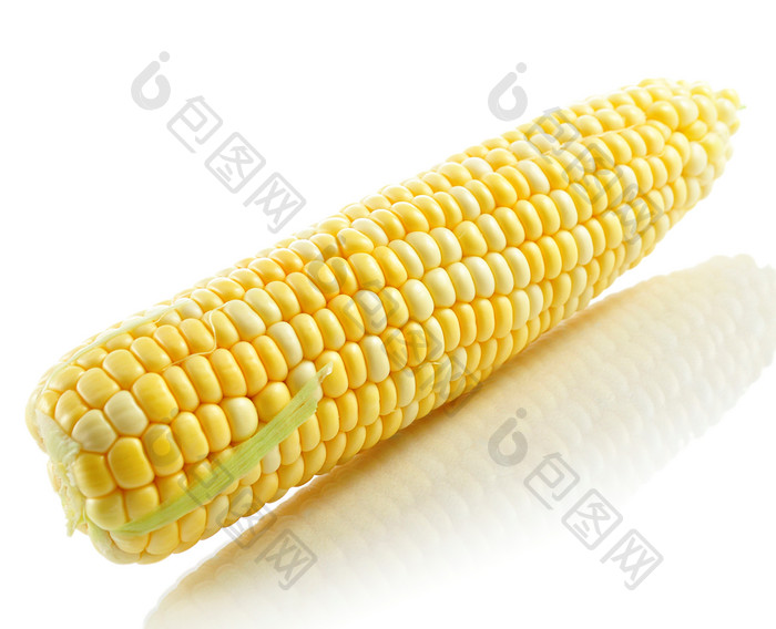 简约玉米棒摄影图