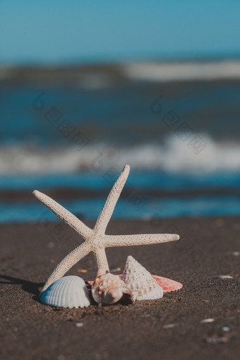 海边<strong>沙滩</strong>上的海星