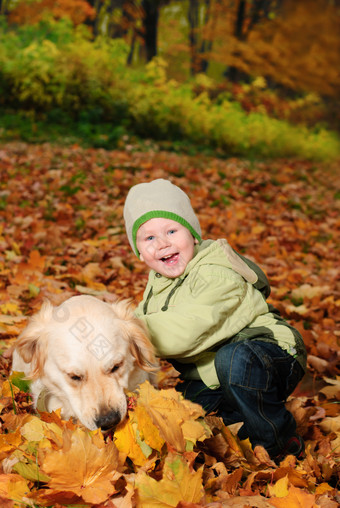 秋季落叶中的宝宝和金毛