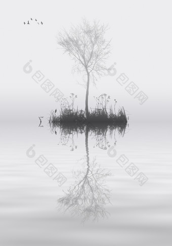 灰色调水中的一棵树摄影图